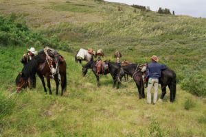 Yukon Horseback Ride